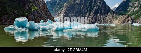 Icebergs flottant sur l'eau du fjord Tracy Arm, sud-est de l'Alaska, Alaska, États-Unis Banque D'Images