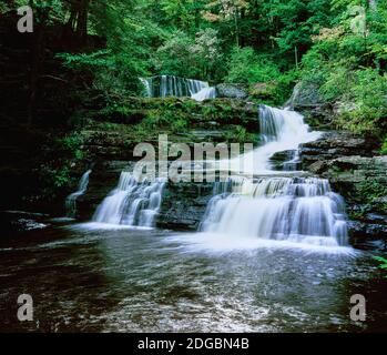 Eau tombant des rochers, Dingmans Creek, George W Childs Recreation site, Delaware Water Gap National Recreation Area, Pennsylvanie, États-Unis Banque D'Images