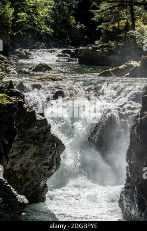 Vue de la chute d'eau inférieure, parc provincial de Little Qualicum Falls, rivière Little Qualicum, Colombie-Britannique, Canada Banque D'Images