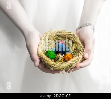 Nid en osier de paille rempli d'œufs colorés chez la femelle mains sur fond blanc Banque D'Images