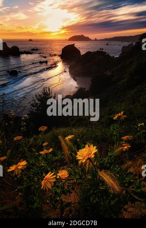 Image en couleur d'un beau coucher de soleil avec vue sur l'océan Pacifique en Californie du Nord. Banque D'Images