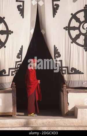 Tôt le matin au monastère de Hemis. Un jeune moine à l'entrée de la salle de prière. Sur l'écran en tissu à l'entrée ci-dessus est le Dharmachakra - une roue typique de Dharma avec 8 rayons représentant le chemin d'Eightfold - le plus ancien symbole universel pour le bouddhisme. Monastère de Hemis, Hemis, Ladakh, Jammu-et-Cachemire, Inde. Banque D'Images