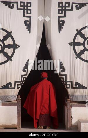 Tôt le matin au monastère de Hemis. Un jeune moine à l'entrée de la salle de prière. Sur l'écran en tissu à l'entrée ci-dessus est le Dharmachakra - une roue typique de Dharma avec 8 rayons représentant le chemin d'Eightfold - le plus ancien symbole universel pour le bouddhisme. Monastère de Hemis, Hemis, Ladakh, Jammu-et-Cachemire, Inde. Banque D'Images