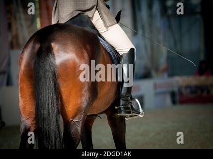 pilote sur un cheval Banque D'Images