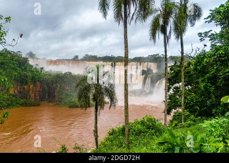 Vue sur les chutes d'Iguazu à la frontière de l'Argentine et Brésil Banque D'Images