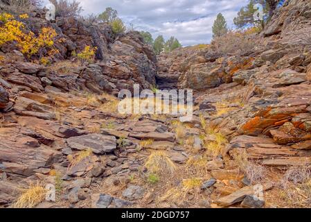 Falaise de chute d'eau des Rocheuses, actuellement sèche, à l'ouest de Sycamore point, dans la forêt nationale de Kaibab, au sud de Williams Arizona. Banque D'Images