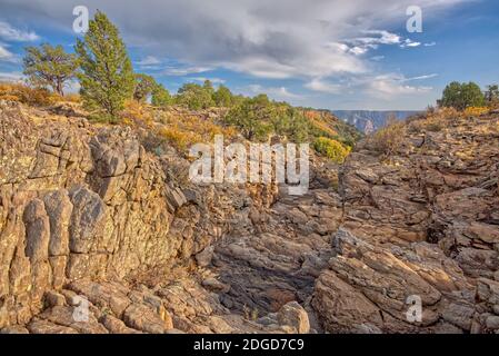 Falaise de chute d'eau des Rocheuses, actuellement sèche, à l'ouest de Sycamore point, dans la forêt nationale de Kaibab, au sud de Williams Arizona. Banque D'Images