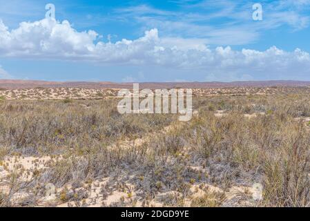 Paysage, du parc national de Cape Range en Australie Banque D'Images