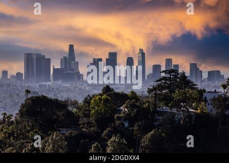 Vue au crépuscule sur le sommet d'une colline couverte d'arbres et le centre-ville de Los Angeles depuis le populaire Griffith Park près de Hollywood California. Banque D'Images