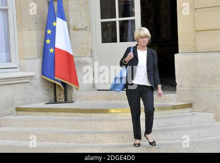 Anne Boquet lors d'une réunion de lancement pour étudier la faisabilité du projet controversé de l'aéroport notre-Dame-des-Landes à Paris, en France, le 1er juin 2017. Photo d'Alain Apaydin/ABACAPRESS.COM Banque D'Images