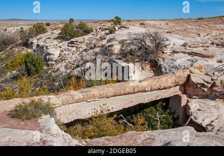 Pont d'Agate dans le parc national de la Forêt pétrifiée, Arizona. Banque D'Images