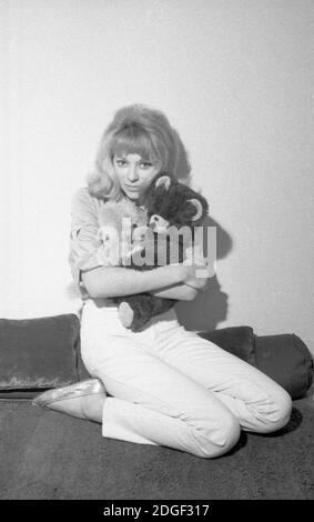 Exclusif - photo de dossier de l'actrice Mireille Darc est décédée à 79 ans. Photo par APS Medias/ABACAPRESS.COM Banque D'Images
