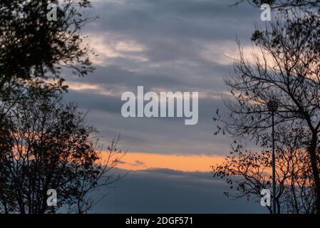 Coucher de soleil lumineux sur une ville à travers la nature branches arbres sur la colline à Plovdiv, Bulgarie Banque D'Images