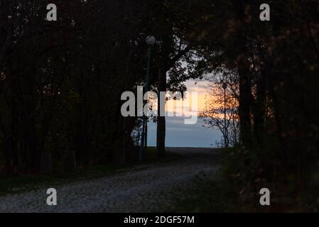 Coucher de soleil lumineux sur une ville à travers la nature branches arbres sur la colline à Plovdiv, Bulgarie Banque D'Images