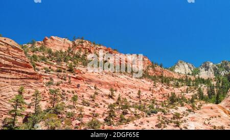 L'intérieur du parc national de Zion Canyon, vu de drone en été Banque D'Images