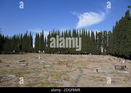 GARDENA, Californie, États-Unis 2 décembre 2020 PET Haven Cemetery le 2 décembre 2020, au 18300 S. Figueroa Street à Gardena, Californie, États-Unis. Photo par Barry King/Alay stock photo Banque D'Images