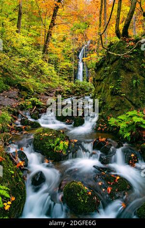 Vue sur les cascades kumoi no Taki au ruisseau Oirase Sentier de randonnée Banque D'Images