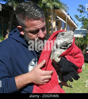 WESTON, FL - JANVIER 05: (COUVERTURE EXCLUSIVE) le froid brutal envoie des frissons à travers le Nord-est après le cyclone de la bombe. Les représentants de la Florida Fish and Wildlife conservation Commission ont déclaré que les iguanes peuvent devenir immobilisés ou stagnantes lorsque les températures atteignent entre 40 et 50 degrés. Les iguanes de tout l'État tombent des arbres après avoir été au froid. Vu ici, les touristes et les guides s'habiller au chaud pour la promenade en hydroglisseur tandis que l'employé Tim parle de « IGGY » le bébé Iguana en l'enveloppant dans une couverture et même en lui mettant des gants pour le garder au chaud au parc de loisirs Sawgrass situé dans Everglades Natio Banque D'Images