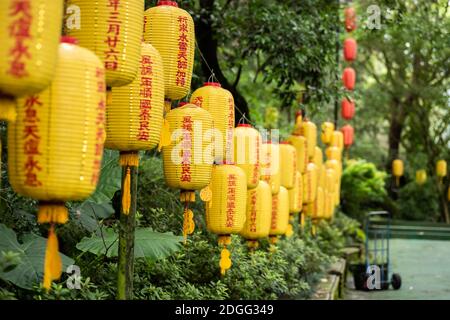 Lanternes jaunes au temple bouddhiste Xian FO Banque D'Images