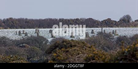 Les Merry Maidens, un cercle de pierre néolithique dans la neige, à l'ouest de Cornwall, Angleterre, Royaume-Uni. Banque D'Images