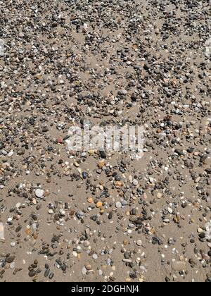 Image de fond : petits cailloux de mer sur la plage Banque D'Images