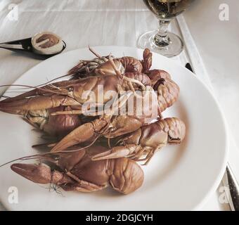 Écrevisses bouillies sur une plaque sur la table Banque D'Images