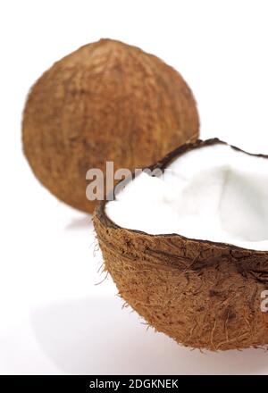 Le cocotier, Cocos nucifera, fruits contre fond blanc Banque D'Images