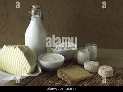 Produits à base de lait, lait, double crème, yaourt, fromage, beurre, fromage Banque D'Images