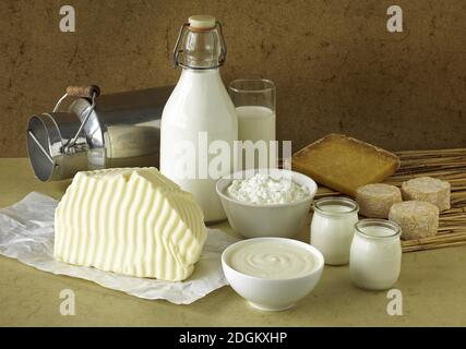 Produits à base de lait, lait, double crème, yaourt, fromage, beurre, fromage Banque D'Images