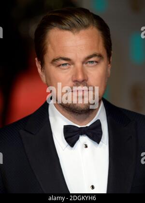 Leonardo DiCaprio assiste aux EE British Academy film Awards à l'Opéra Royal, Bow Street, Londres. Photo de divertissement EMPICS. Date de la photo: Dimanche 14 février 2016. Le crédit photo devrait se lire comme suit : Doug Peters/ EMPICS Entertainment Banque D'Images