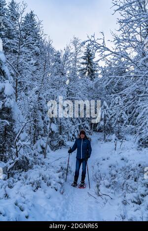 je marche la ligne avec des raquettes dans les merveilles de l'hiver. forêt couverte de neige fraîche avec randonnée à raquettes, le soir. Schneeschuh laufen im Winterwald Banque D'Images