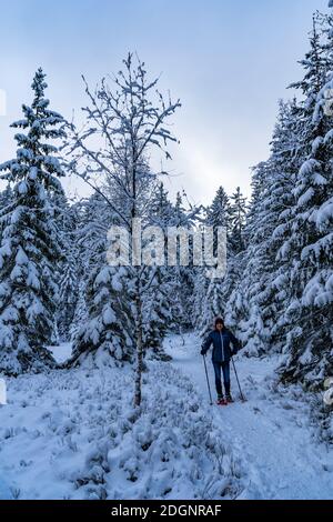 je marche la ligne avec des raquettes dans les merveilles de l'hiver. forêt couverte de neige fraîche avec randonnée à raquettes, le soir. Schneeschuh laufen im Winterwald Banque D'Images