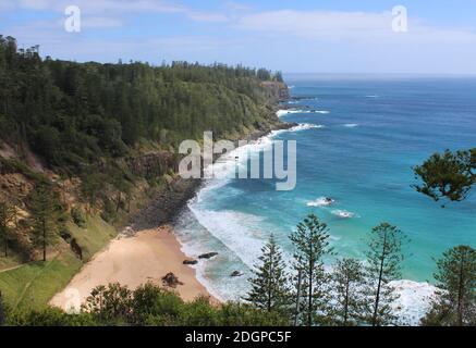 Île Norfolk, territoire externe australien, baie Anson, avec des pins endémiques de l'île Norfolk (Araucaria heterophylla). Banque D'Images