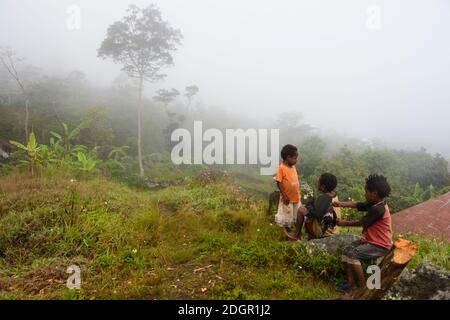 Matin brumeux dans la vallée de Baliem. Montagnes centrales, Papouasie occidentale, Indonésie Banque D'Images