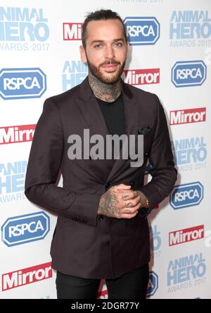 Pete Wicks participant aux Animal Hero Awards organisés à Grosvenor House Hotel, Londres. Le crédit d'image devrait se lire: Doug Peters/Empics Entertainment Banque D'Images