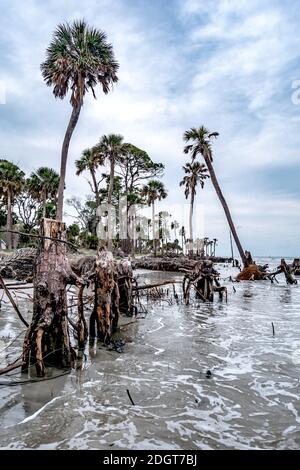 Île de chasse Caroline du Sud scènes de plage Banque D'Images