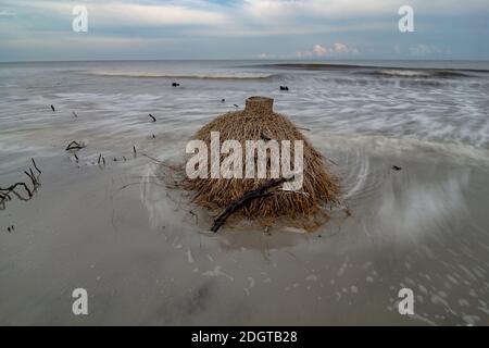 Île de chasse Caroline du Sud scènes de plage Banque D'Images