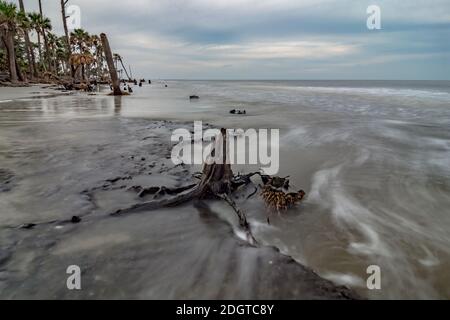 Île de chasse Caroline du Sud scènes de plage Banque D'Images