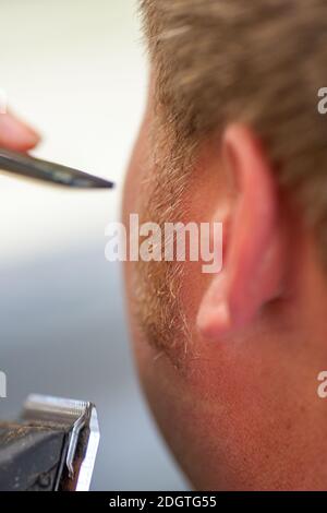 Coiffeur rasage de la barbe d'un homme avec tondeuse à cheveux ou tondeuse à cheveux, vue de l'arrière-plan du client. Banque D'Images