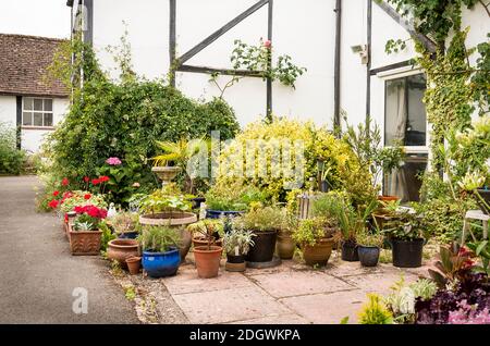 Un petit jardin patio près d'une ancienne ferme victorienne bâtiment avec un mélange de plantation mixte à l'aide de pots et Jardinières dans un jardin anglais en somme Banque D'Images