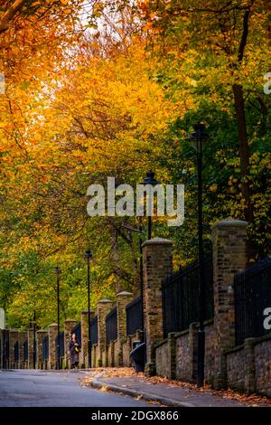 Londres, Highgate. Une femme marchant le long d'un trottoir à Highgate, à côté du cimetière de Highgate, couleurs d'automne, arbres Banque D'Images