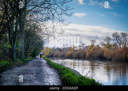 Royaume-Uni, Angleterre, Londres, Richmond, UN jogging le long du sentier de la Tamise en automne Banque D'Images