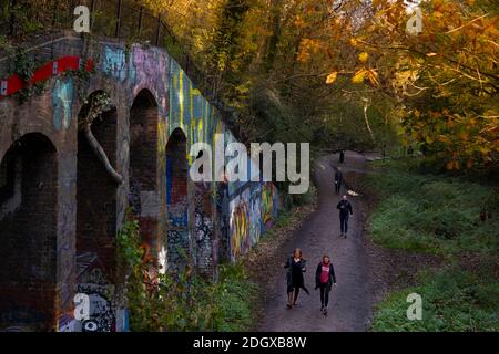 Londres, Crouch Hill, Parkland Walk nature Reserve & SINC entre Highgate et Finsbury Pk., Sprigga (Green Man) sculpture de Marilyn Collins, sentier Banque D'Images