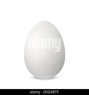 Œuf animal réaliste simple et blanc vectoriel. Œuf de poulet isolé avec des ombres douces sur fond blanc. Modèle pour les vacances de Pâques. Illustration 3D Illustration de Vecteur