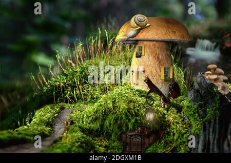 série, maison de fées (champignon), une illustration fictive de la maison et la situation sous forme de collage de photos Banque D'Images