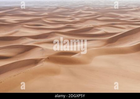 Dans le désert du Sahara, dunes de sable à l'horizon, Maroc, Afrique. Banque D'Images