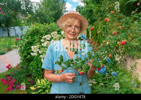 Joyeuse dame de verre et un chapeau se tient dans le jardin au milieu des fleurs et tient une branche de framboise. Portrait de couverture pour le design paysage et Banque D'Images