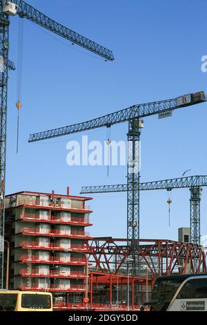 GRUES SUR LE CHANTIER Banque D'Images