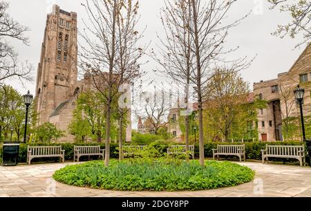 Square of Chicago University campus avec vue sur Rockefeller Memorial Chapel, Illinois, États-Unis Banque D'Images