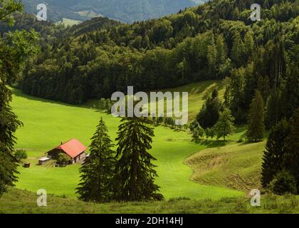 Une ferme au milieu de la forêt suisse et des champs verdoyants de la région de Gruyère, en Suisse Banque D'Images